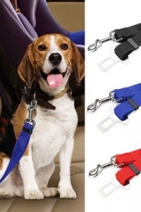 Köpek Tasma Araba Emniyet Kemeri