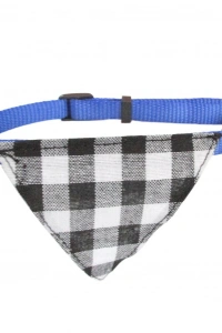 Köpek Tasması Fular Şeklinde