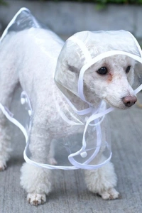 Köpek Yağmurluğu -Sarı - (Small)