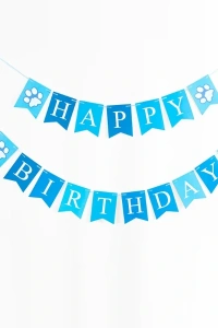 Köpekler İçin Doğum Günü Partisi Seti