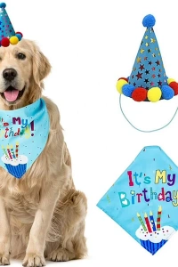 Köpekler İçin Doğum Günü Partisi Seti