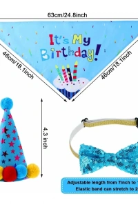 Köpekler İçin Doğum Günü Partisi Seti