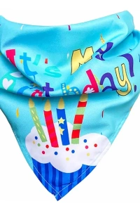 Köpekler İçin Doğum Günü Partisi Seti