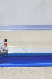 Korsan Gemi Figürlü Batmayan Gemi