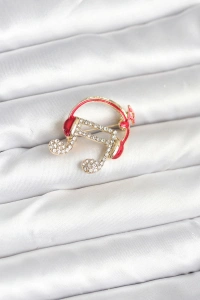 Kulaklıklı Nota Model Broş