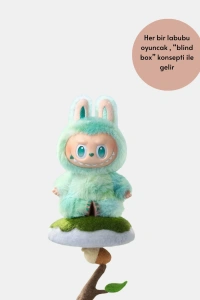 Kutu Paketli Labubu Oyuncak – Renk Karışık Gönderim