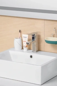 Lavabo Şeklinde Sabunluk