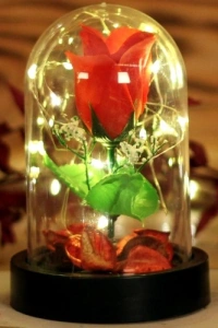 Led Işıklı Fanus Gül