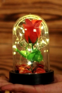 Led Işıklı Fanus Gül