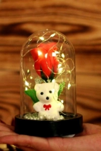 Led Işıklı Gül Ve Ayıcık Fanus