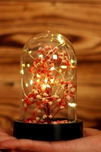 Led Işıklı Mini Ağaç Fanus Teraryum