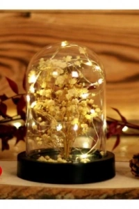 Led Işıklı Mini Ağaç Fanus Teraryum 2