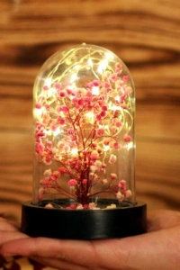 Led Işıklı Mini Ağaç Fanus Teraryum 4