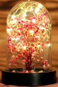 Led Işıklı Mini Ağaç Fanus Teraryum 4