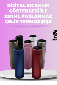 LED Sıcaklık Ölçerli 250 ml Yalıtımlı Termos Şişe