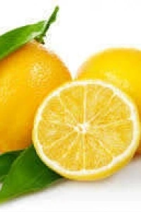 Limon Bonesi / 10 Adet / Bitki Çayı Bonesi