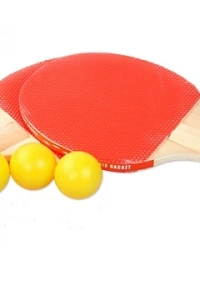 Masa Tenisi Seti (2 Raket + 3 Top)