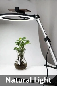 Masaüstü Çekim Işığı