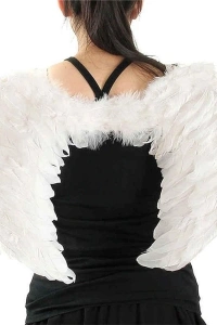 Melek Kanadı Kostümü