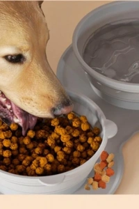 Mikopet Katlanabilir İkili Mama ve Su Kabı