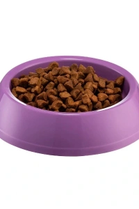 Mikopet Küçük Yuvarlak Mama Kabı