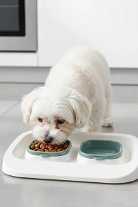 Mikopet Yeşil 2si 1 Arada Mama Ve Su Kabı