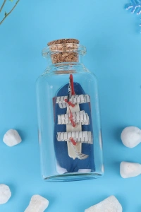 Mini Boy Şişe İçerisinde Gemi Maketi