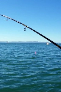 Misina İpi 300 Metre