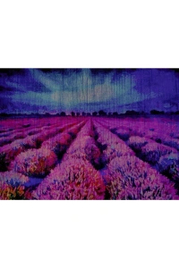 Mor Çiçek Tarlası Canvas Tablo (50x70)