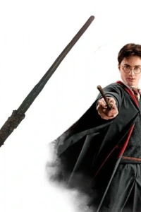 Orjinal Harry Potter Asası