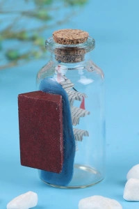 Orta Boy Şişe İçerisinde Gemi Maketi