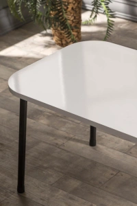 Orta Sehpa Kr Metal Ayak Beyaz