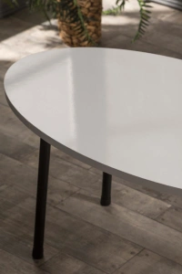 Orta Sehpa Metal Ayak Elips Beyaz