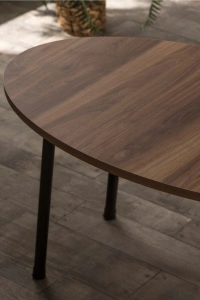 Orta Sehpa Metal  Ayak Elips Ceviz