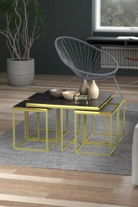 Orta Sehpa Ve Zigon Sehpa 5li Lüx Set Altın Bendir