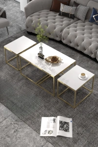 Orta Sehpa Ve Zigon Yan Sehpa Flora Set Gold Beyaz