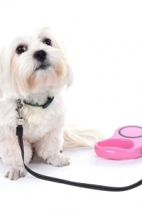 Otomatik Uzayan Köpek Tasması 3 METRE