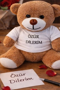 Özür Dilerim Tişörtlü Peluş Ayıcık