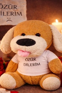 Özür Dilerim Tişörtlü Peluş Oyuncak Köpek