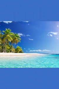 Palmiye Ağaçlı Ada Tablosu, Canvas Tablo 60x120