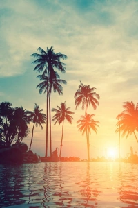 Palmiyeler ve Nehir Günbatımı Kanvas Tablo 60 x 120