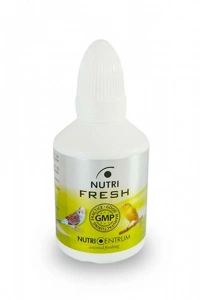 Papağan İçin Soğuk Algınlığı Destek - Fresh