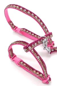 Parlak Kedi Gezdirme Göğüs Tasması