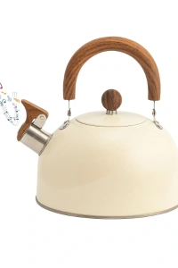 Paslanmaz Çelik Demlik Karma Renk