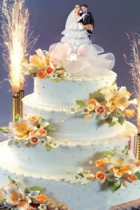 Pasta Volkanı 1 Adet