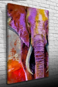 Pastel Renklerde Dekoratif Fil Görseli Kanvas Tablo 50 x 70