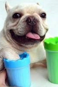 Pati Yıkama Aleti Soft Gentle