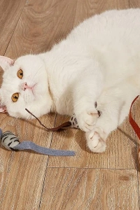 Peluş Fare Kedi Oyuncağı 3 Adet