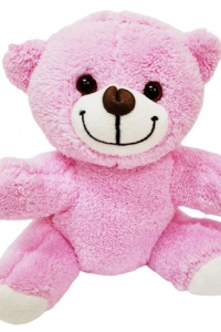 Pembe Peluş Ayıcık, Kar Küresi Ve Pembe Çikolata Not Defteri Hediye Seti