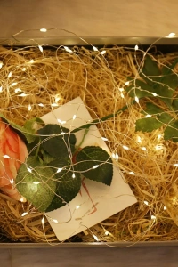 Peri Led Işık 3 metre GÜN IŞIĞI Dekor Lambası 28 Ledli